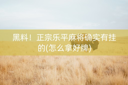 黑料！正宗乐平麻将确实有挂的(怎么拿好牌)