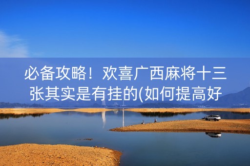 必备攻略！欢喜广西麻将十三张其实是有挂的(如何提高好牌几率)