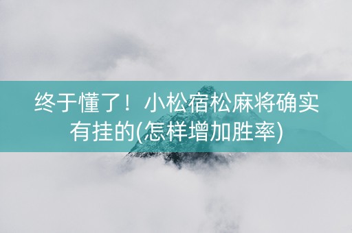 终于懂了！小松宿松麻将确实有挂的(怎样增加胜率)