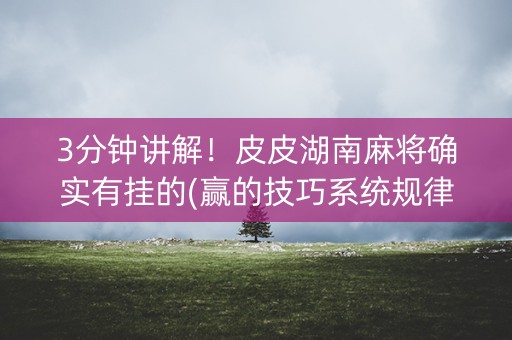 3分钟讲解！皮皮湖南麻将确实有挂的(赢的技巧系统规律)