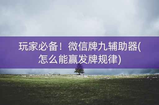 玩家必备！微信牌九辅助器(怎么能赢发牌规律)