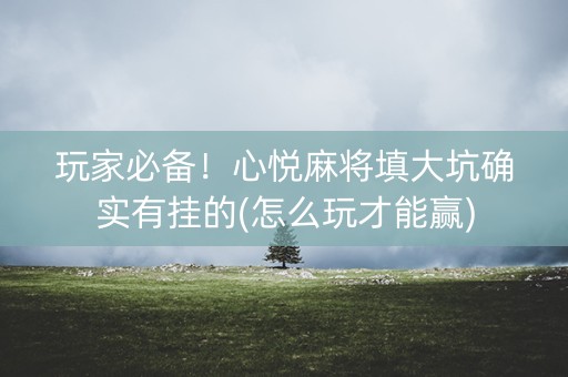 玩家必备！心悦麻将填大坑确实有挂的(怎么玩才能赢)