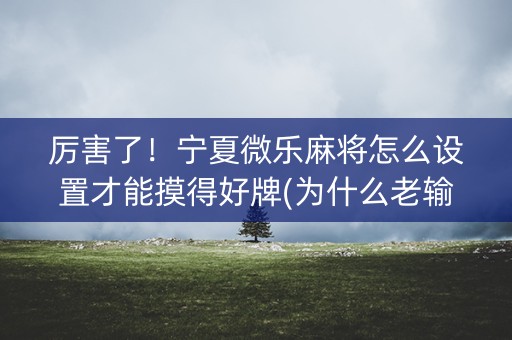 厉害了！宁夏微乐麻将怎么设置才能摸得好牌(为什么老输)