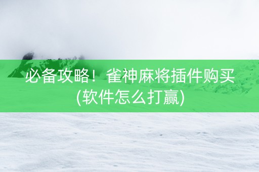 必备攻略！雀神麻将插件购买(软件怎么打赢)