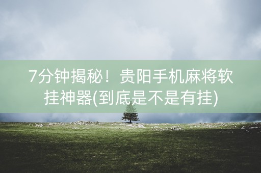 7分钟揭秘！贵阳手机麻将软挂神器(到底是不是有挂)