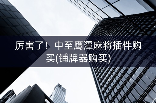 厉害了！中至鹰潭麻将插件购买(铺牌器购买)