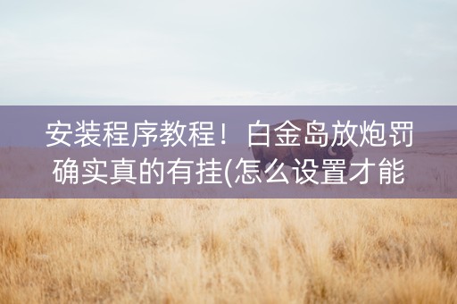 安装程序教程！白金岛放炮罚确实真的有挂(怎么设置才能赢)