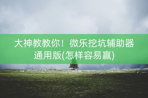 大神教教你！微乐挖坑辅助器通用版(怎样容易赢)