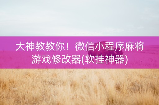 大神教教你！微信小程序麻将游戏修改器(软挂神器)