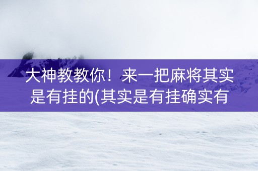 大神教教你！来一把麻将其实是有挂的(其实是有挂确实有挂)