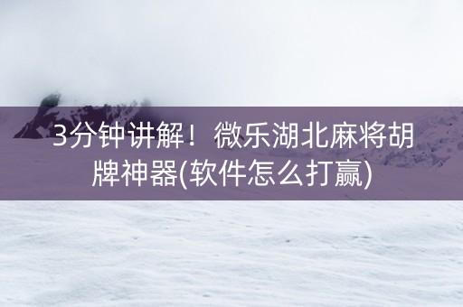 3分钟讲解！微乐湖北麻将胡牌神器(软件怎么打赢)