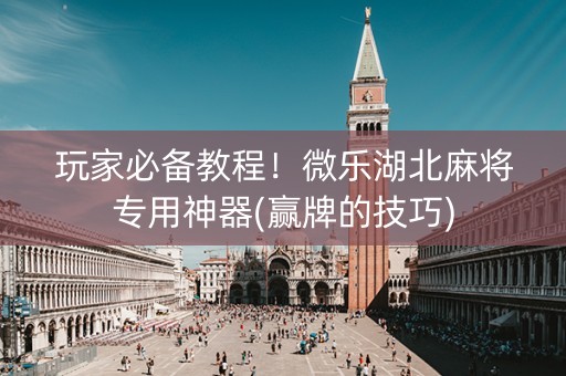 玩家必备教程！微乐湖北麻将专用神器(赢牌的技巧)