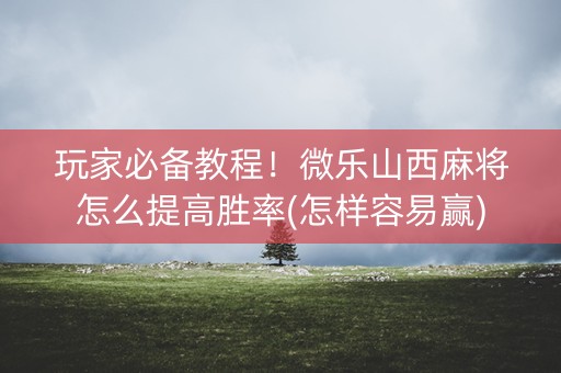 玩家必备教程！微乐山西麻将怎么提高胜率(怎样容易赢)