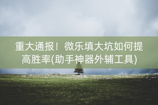 重大通报！微乐填大坑如何提高胜率(助手神器外辅工具)