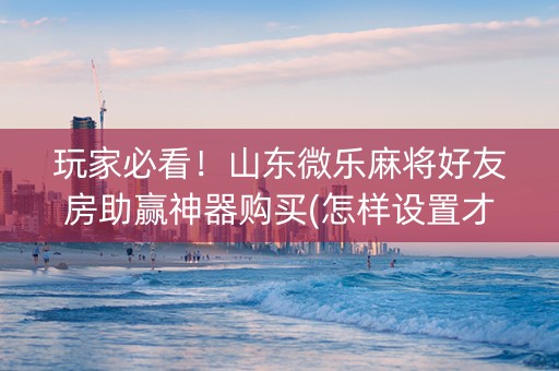 玩家必看！山东微乐麻将好友房助赢神器购买(怎样设置才容易赢)