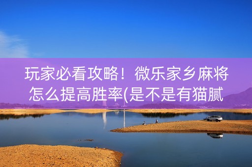 玩家必看攻略！微乐家乡麻将怎么提高胜率(是不是有猫腻)