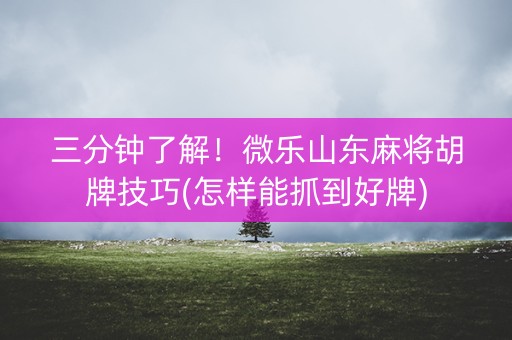 三分钟了解！微乐山东麻将胡牌技巧(怎样能抓到好牌)