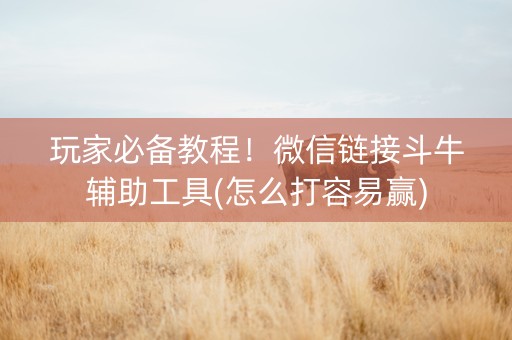 玩家必备教程！微信链接斗牛辅助工具(怎么打容易赢)