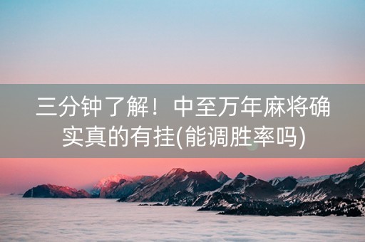 三分钟了解！中至万年麻将确实真的有挂(能调胜率吗)