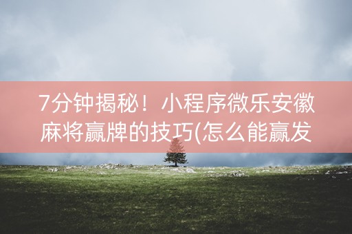 7分钟揭秘！小程序微乐安徽麻将赢牌的技巧(怎么能赢发牌规律)