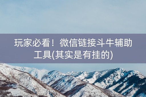 玩家必看！微信链接斗牛辅助工具(其实是有挂的)