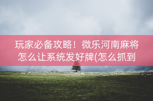 玩家必备攻略！微乐河南麻将怎么让系统发好牌(怎么抓到好牌)