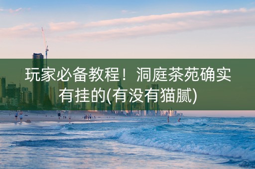 玩家必备教程！洞庭茶苑确实有挂的(有没有猫腻)