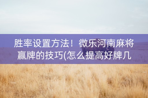 胜率设置方法！微乐河南麻将赢牌的技巧(怎么提高好牌几率)
