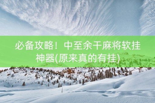 必备攻略！中至余干麻将软挂神器(原来真的有挂)