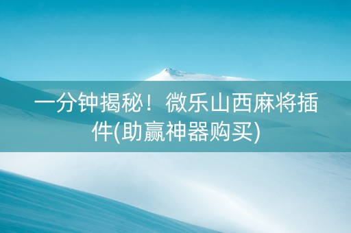 一分钟揭秘！微乐山西麻将插件(助赢神器购买)