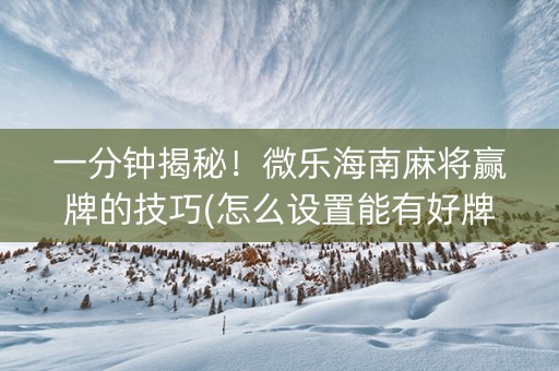 一分钟揭秘！微乐海南麻将赢牌的技巧(怎么设置能有好牌)