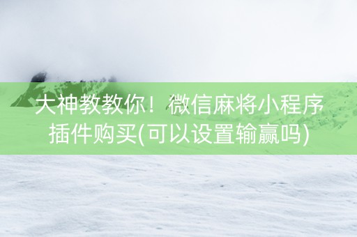 大神教教你！微信麻将小程序插件购买(可以设置输赢吗)
