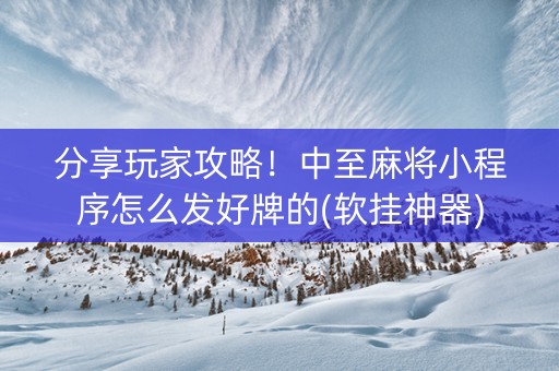 分享玩家攻略！中至麻将小程序怎么发好牌的(软挂神器)