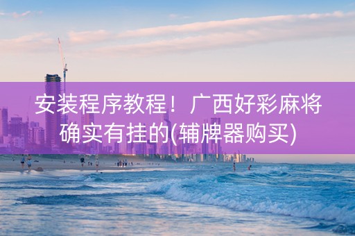 安装程序教程！广西好彩麻将确实有挂的(辅牌器购买)