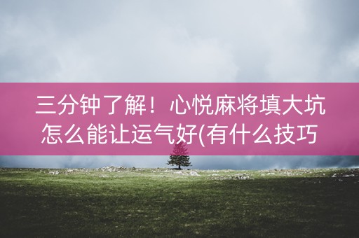 三分钟了解！心悦麻将填大坑怎么能让运气好(有什么技巧)