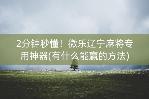 2分钟秒懂！微乐辽宁麻将专用神器(有什么能赢的方法)