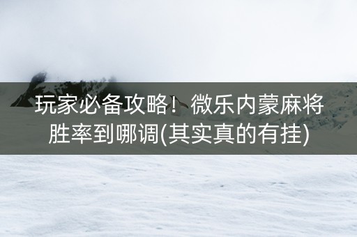玩家必备攻略！微乐内蒙麻将胜率到哪调(其实真的有挂)