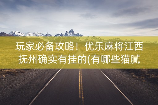 玩家必备攻略！优乐麻将江西抚州确实有挂的(有哪些猫腻)