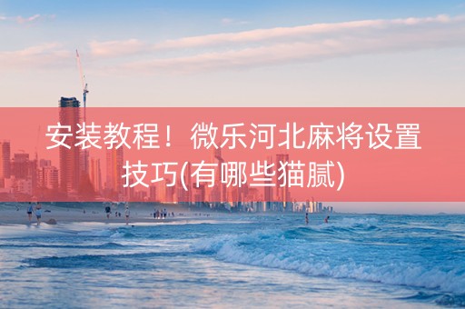 安装教程！微乐河北麻将设置技巧(有哪些猫腻)