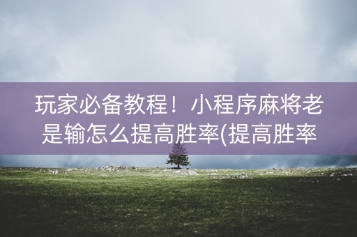 玩家必备教程！小程序麻将老是输怎么提高胜率(提高胜率软件)