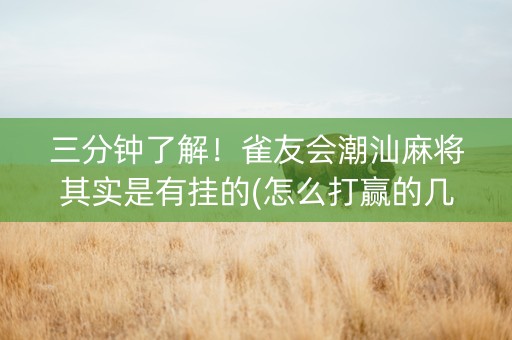 三分钟了解！雀友会潮汕麻将其实是有挂的(怎么打赢的几率大)