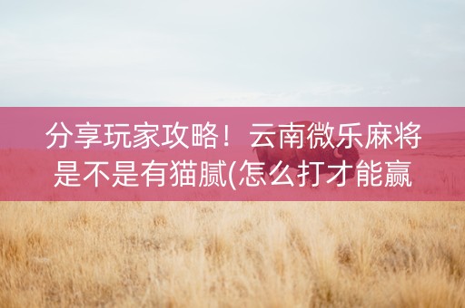 分享玩家攻略！云南微乐麻将是不是有猫腻(怎么打才能赢)