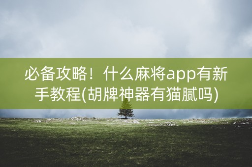 必备攻略！什么麻将app有新手教程(胡牌神器有猫腻吗)