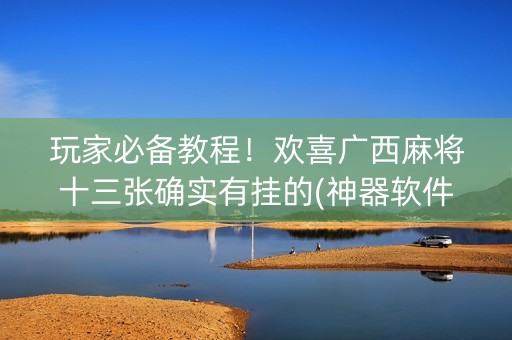 玩家必备教程！欢喜广西麻将十三张确实有挂的(神器软件)