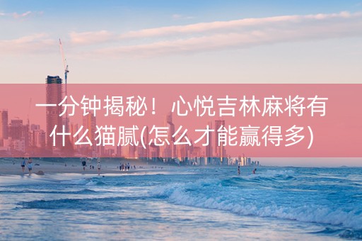 一分钟揭秘！心悦吉林麻将有什么猫腻(怎么才能赢得多)