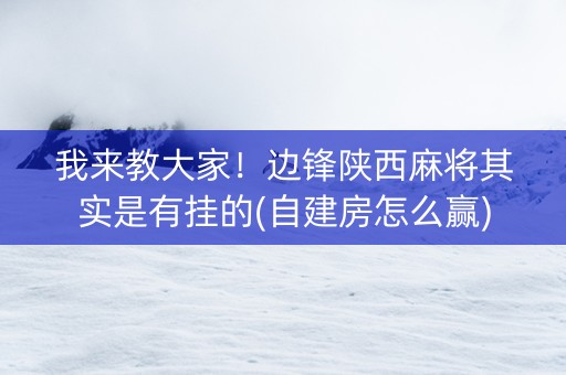 我来教大家！边锋陕西麻将其实是有挂的(自建房怎么赢)