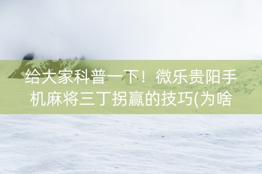 给大家科普一下！微乐贵阳手机麻将三丁拐赢的技巧(为啥一直输)