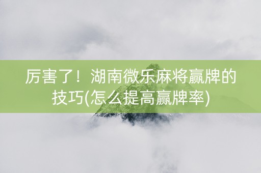 厉害了！湖南微乐麻将赢牌的技巧(怎么提高赢牌率)