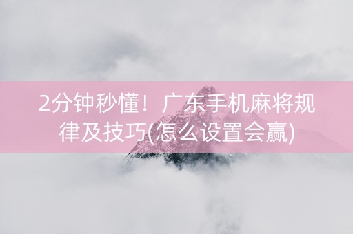 2分钟秒懂！广东手机麻将规律及技巧(怎么设置会赢)