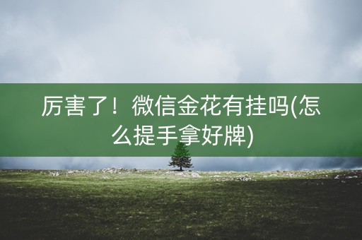 厉害了！微信金花有挂吗(怎么提手拿好牌)